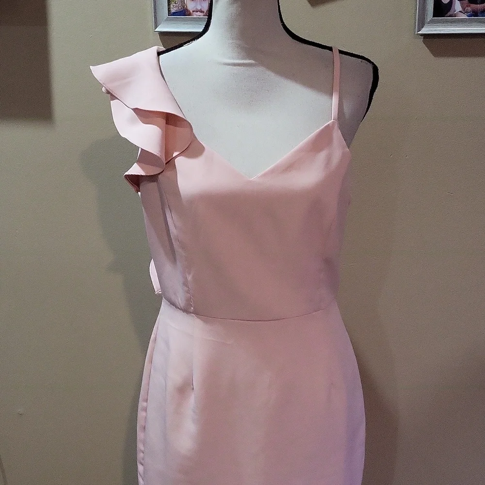 Anna Grace Dress 🩷 - Picture 2 of 11